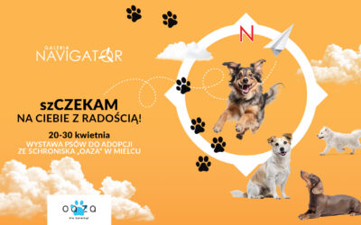 szCZEKAMY na Ciebie z Radością